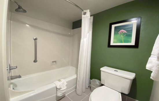SureStay Plus Hotel By Best Western San Jose Central City - Private Bathroom - Bathtub