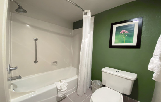 King Suite with Bath Tub Non-Smoking - Private Bathroom